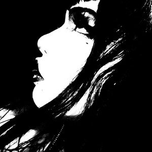 Meet your Posher, Katzen